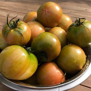 자연맛남  부산 대저토마토 L 2.5kg