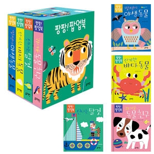 팝업! 팝업북 세트