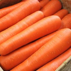 산정식품  세척 당근 특 5kg