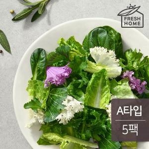 프레쉬홈 이지 샐러드 A타입 90gx5팩 450g