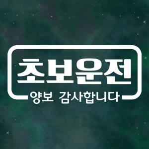 제제데코  심플라인 초보운전 스티커