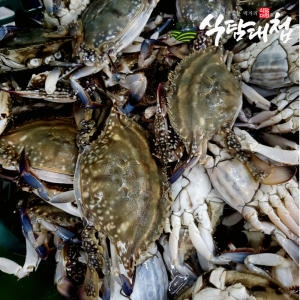 식탐대첩  급냉 암꽃게 6~10미 2kg