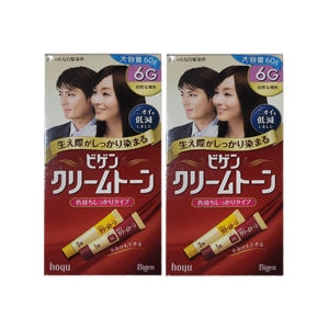 비겐크림톤 염색약 새치염색 60g X 2 바르는 염색약 6G 자연갈색