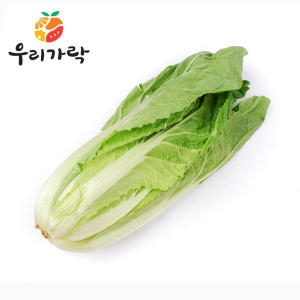 우리가락  얼갈이배추 4kg