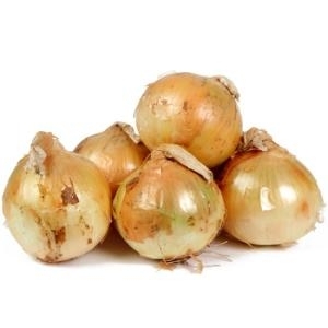 햇살조은  국내산 햇양파 중 5kg