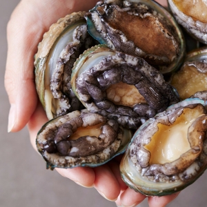 작심밀도  청해 활전복 특대 8~9미 1kg