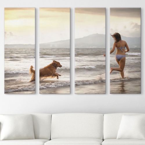 아트박스  꾸밈 cx566-반려견과해변나들이_대형노프레임세트