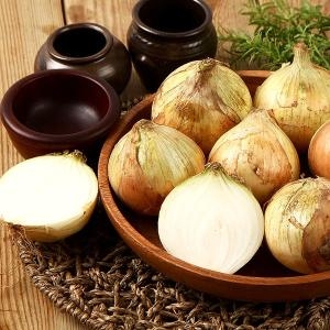 햇살조은  국내산 양파 10kg  특/요리용