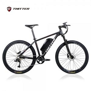 트위터  전기자전거 E5후륜구동 RS10단350W10A AIR FORK