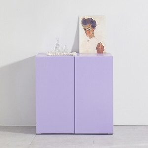 디포코 꼼무드 2도어 D300 틴수납장 800