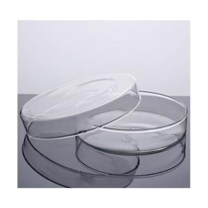 120mm유리페트리디쉬 샬레  2개 RTS