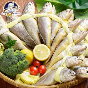 오양굴비  영광 법성포 보리굴비 선물세트 특2호