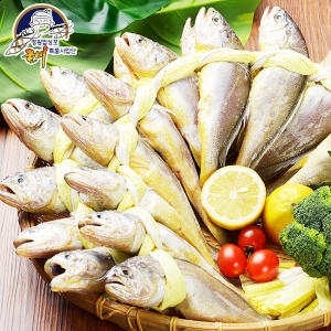 오양굴비  영광 법성포 보리굴비 선물세트 소오가7호 1.1kg