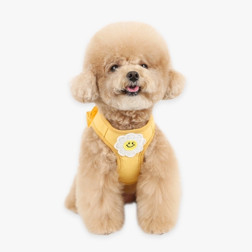 이츠독 데이지 프릴 하네스