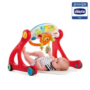 공식수입원 4단계 변신 아기체육관-그로우앤워크짐 아기체육관부터 걸음마보조기까지