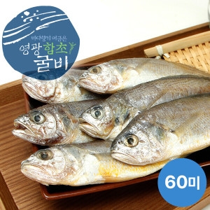 연애  영광법성포 함초진공굴비 60g