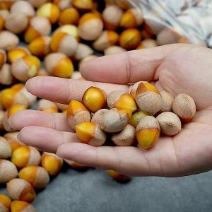 지투지샵 깐은행 중 500g