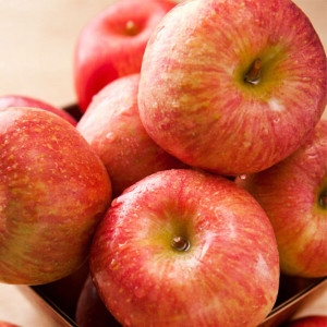 착한식탁  주스용 햇 부사 사과 랜덤과 10kg