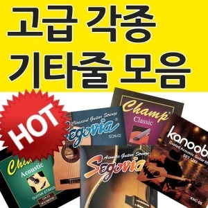 캐슬  어쿠스틱 기타줄 1356