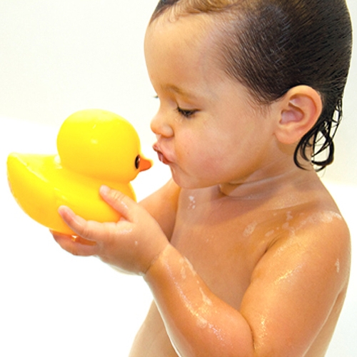 톨로  물놀이 오리/목욕용품 인형/러버덕