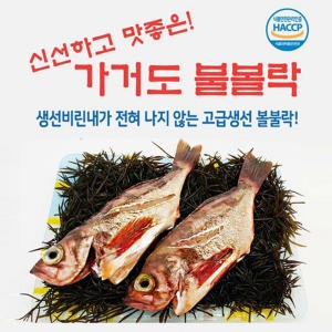 산지  직송 불볼락 대 3마리 가거도