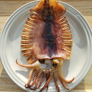 자연맛남  촉촉 반건조오징어 10미 900g