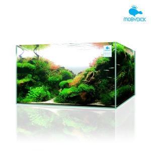 모비딕  2자 슬림 유리어항 60x35x38 6T