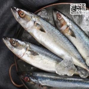이동삼안동간고등어  안동간고등어 선물세트 400g