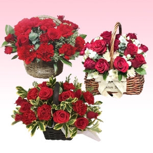 젠틀맨플라워  축하 꽃다발 장미 카네이션