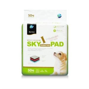 블루오션 스카이 아이 패드 50매