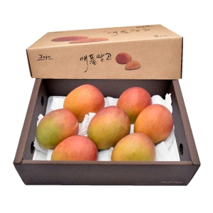 삼다몰  제주 애플망고 특대 3kg
