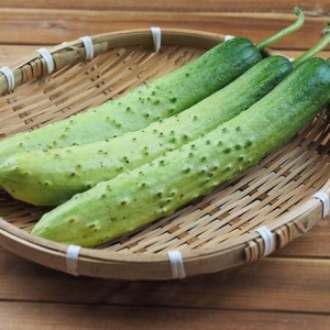 국내산 백 다다기오이 48-50개 10kg