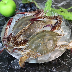 자연맛남  최상급 암꽃게 소 1kg