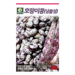 다농  호랑이콩 강낭콩 씨앗 30g