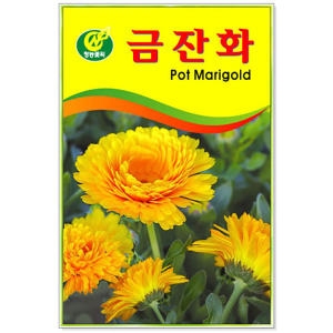 금잔화씨앗 금잔화꽃씨 금잔화꽃씨앗 야생화씨앗
