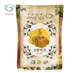 푸른들판  국내산 장수 상황 버섯 100g 원물 덩어리 진흙버섯