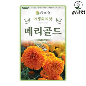 다농  메리골드 100립 야생화씨앗