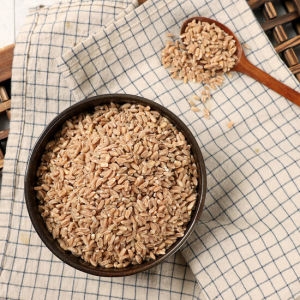 부지런한농부 고대이집트 밀 스펠트 밀 1kg