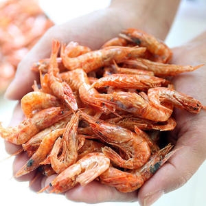 완도맘  완도 자연산 홍새우 건새우 200g 최상급