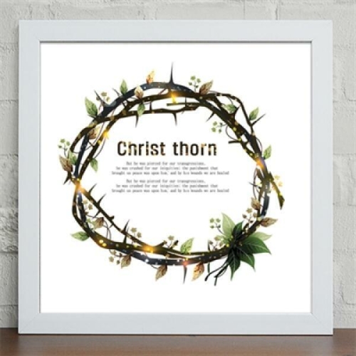 꾸밈  ix059 그리스도의고통