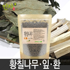 인차 국내산 황칠나무 잎 환 차 - 에누리 가격비교