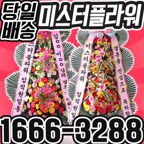 젠틀맨플라워  축하화환 중급형