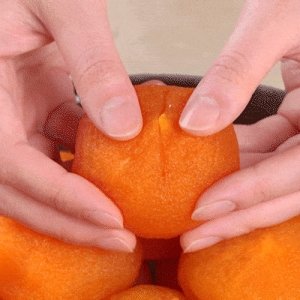 대한민국농수산  쫀득촉촉 청도 반건시 곶감 선물형 대과/26구 무료 보자기포장