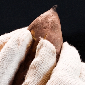 대한민국농수산  달콤촉촉 해남 꿀 고구마 특상 5kg