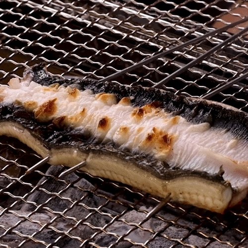 대한민국농수산  국내산 장어 민물장어 1kg 손질후 700g