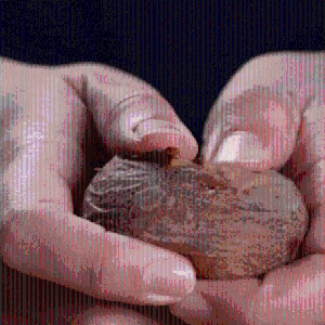 대한민국농수산  국내산 제철 감자 수미감자 중 5kg