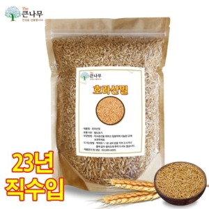 THE큰나무  터키산 호라산밀 10kg