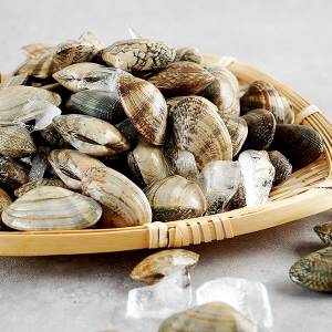 대풍수산식품  껍질바지락 1kg