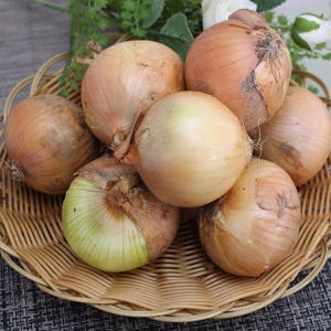 햇양파 중  , 1망 자연대로팜웨이