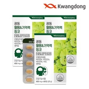 광동생활건강 광동 혈행 앤 기억력 징코 450mg 60정